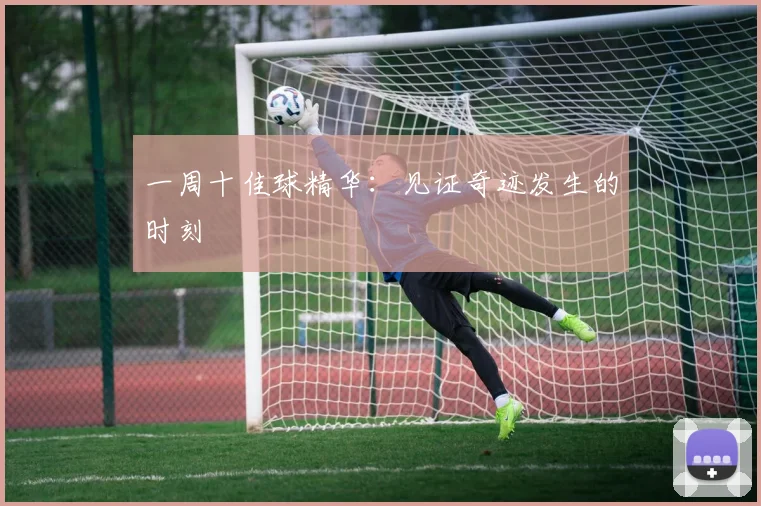 一周十佳球精华：见证奇迹发生的时刻