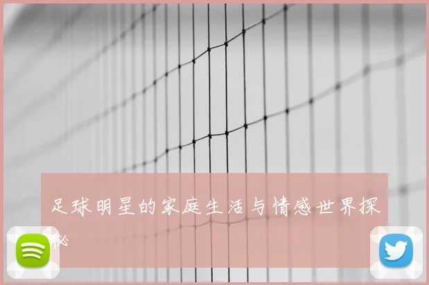 足球明星的家庭生活与情感世界探秘