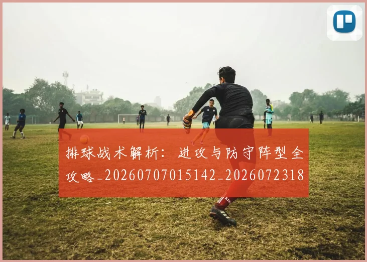 排球战术解析：进攻与防守阵型全攻略_20260707015142_20260723183354